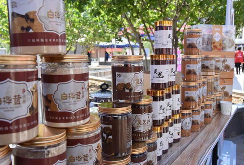 巾幗展風(fēng)采，服務(wù)暖人心——銀川市巾幗家政服務(wù)暨巾幗助力扶貧展示進(jìn)社區(qū)活動(dòng)正式啟動(dòng)